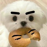 kinoko