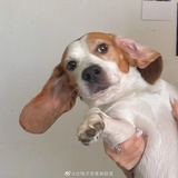 abcdefghijk
