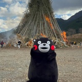 疯了的柠檬饼干