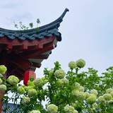没有什么名字
