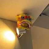 林北辣虎油