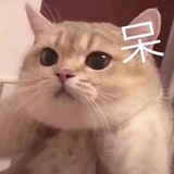 简简
