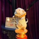 可爱吃猪仔