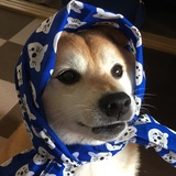 Aaaa