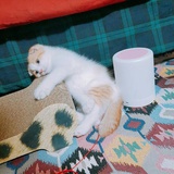 何何