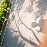 九老板