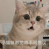 南北