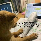 虚怀若谷