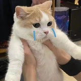 睡不醒