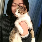小莲子