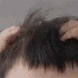 好学的杨咩咩