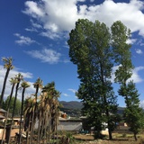 西山洞庭