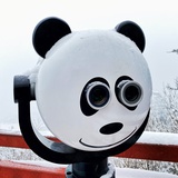 灰二