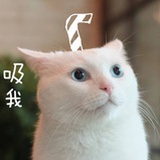 说七说八