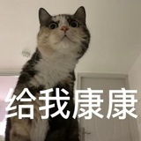 整天注销子