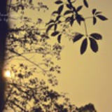 Mang`Song