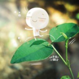 星月婉婉