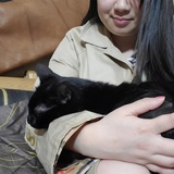 Xiaobai