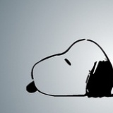 honeywinnie
