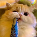 妮个瓜皮