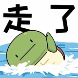 乌龟小姐