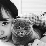 句子吧