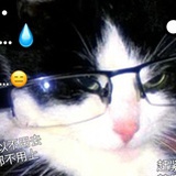 贝斯老师金钟铉
