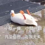 我爱西红柿