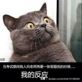 啊布布