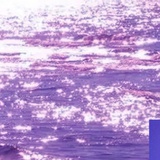 。。