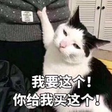 鱼丸捞面