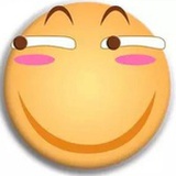 故事de小黄花
