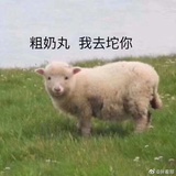 拔兔子的萝卜