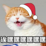 Agnes_M
