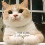 谁动了我的玛丽