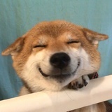 有一天，