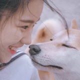 远方