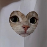 福尔
