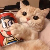 普洱两三语