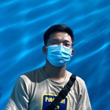 海边的卡德加一