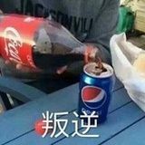 春天在哪里