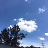 你是我的屁