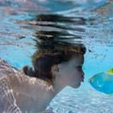 我有隐形的翅膀