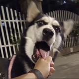 洛沐