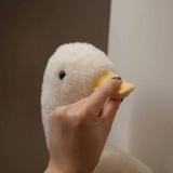 花苗