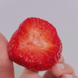 纯纯牛马