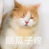 裏表ラバーズ
