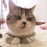 三木