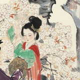 澧澧