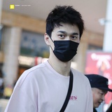 烟柳画桥断肠草